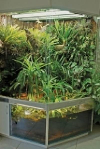 Preview: Captive Habitats - Building, furnishing and maintaining